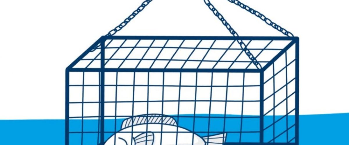 29-v-invseticnych-vodach-cover